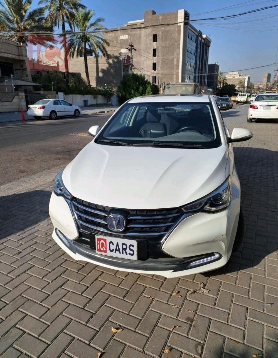 شانجان للبيع في العراق